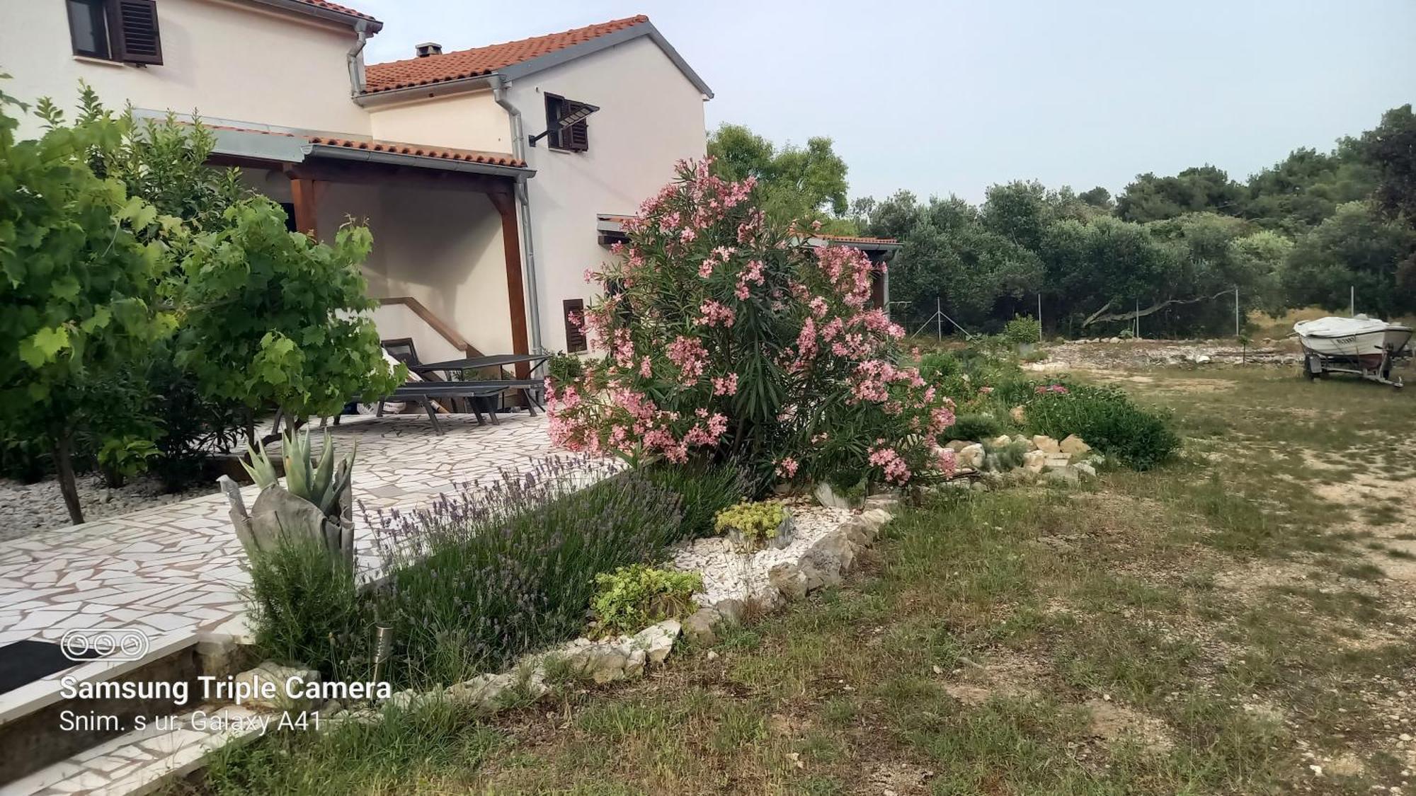 Eco Secluded Apartments Zabodarski Čunski Exterior foto